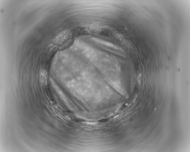 X0000087630772200705181459