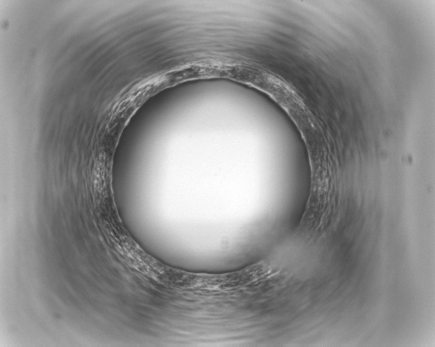 X0000087630773200705181459