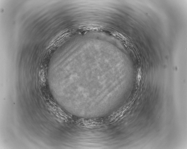 X0000087630774200705181459