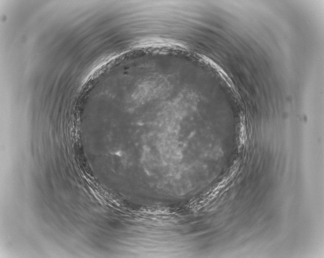 X0000087630775200705181459