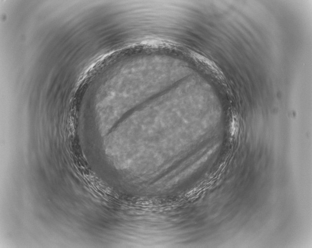 X0000087630776200705181459