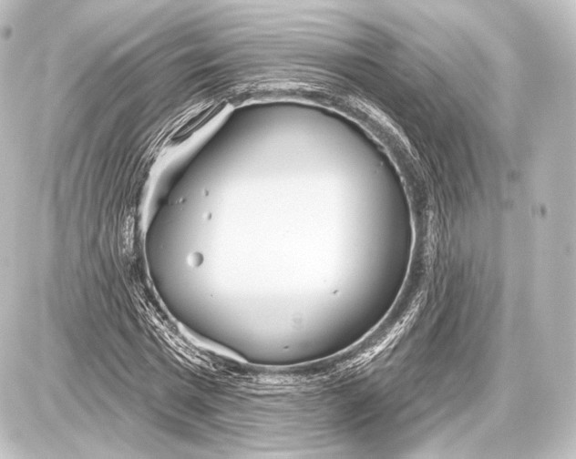 X0000087630777200705181459