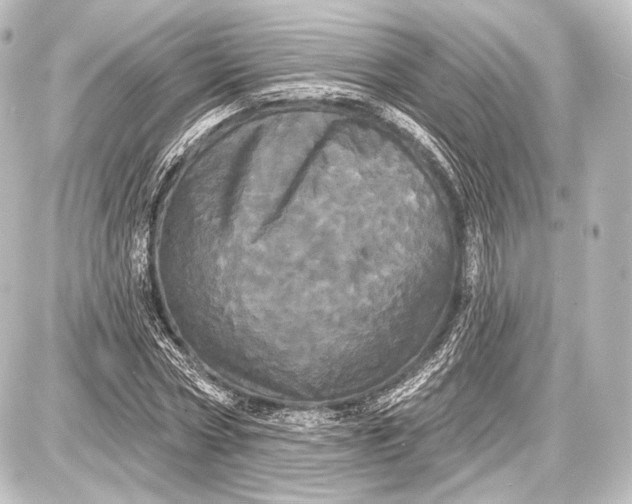 X0000087630778200705181459