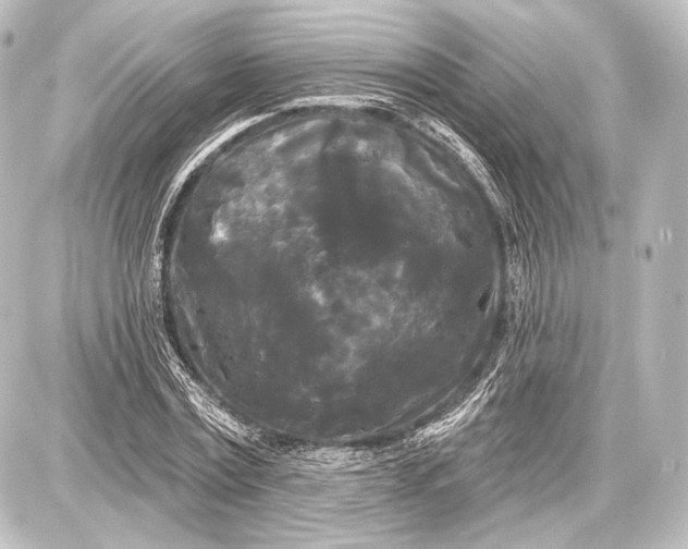 X0000087630779200705181459