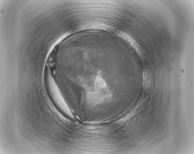 X0000087630780200705181459