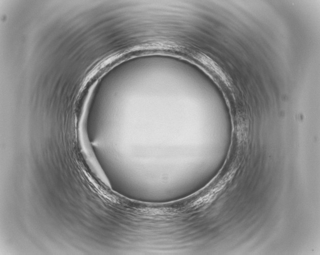 X0000087630781200705181459