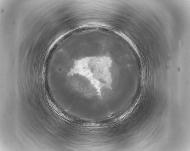 X0000087630783200705181459