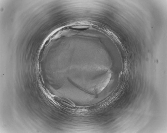 X0000087630784200705181459