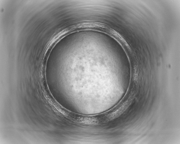 X0000087630786200705181459