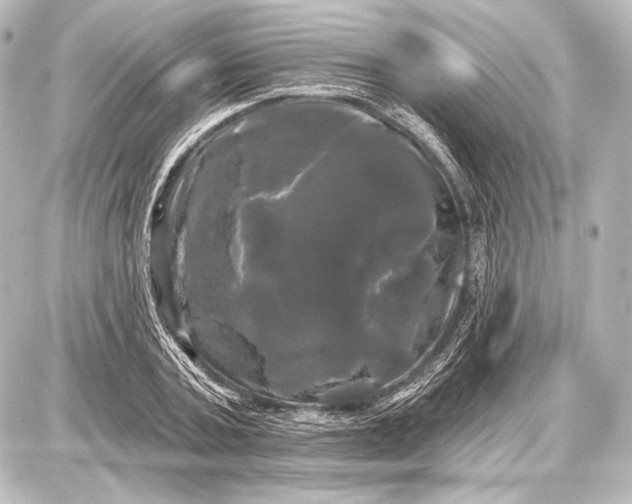 X0000087630787200705181459