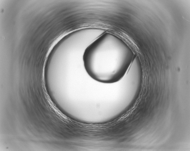 X0000087630788200705181459