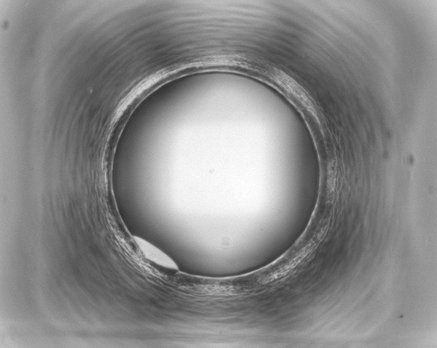 X0000087630789200705181459