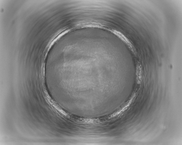 X0000087630790200705181459