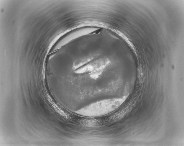 X0000087630791200705181459