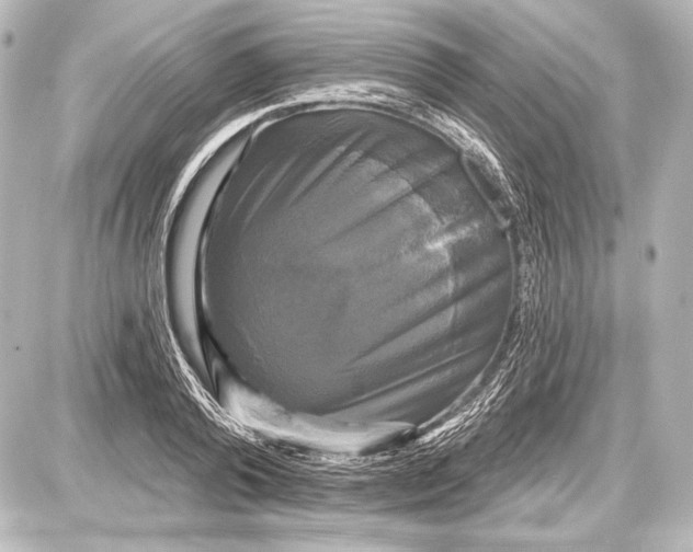 X0000087630792200705181459