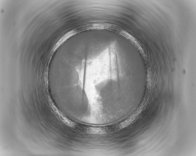 X0000087630794200705181459