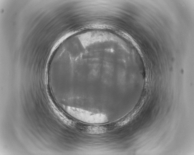 X0000087630795200705181459