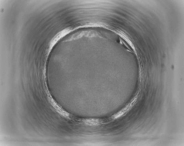 X0000087630797200705181459