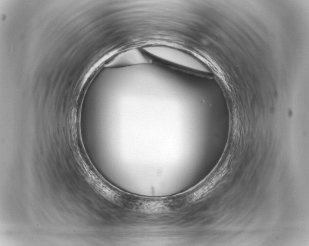 X0000087630798200705181459