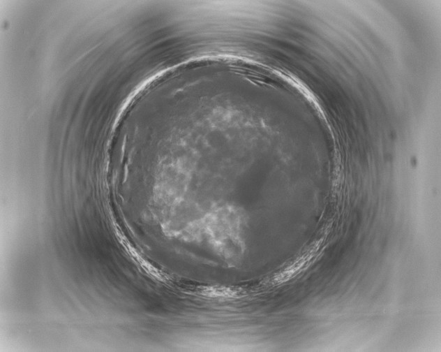 X0000087630799200705181459