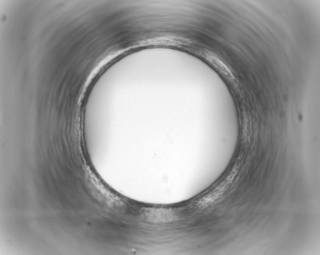 X0000087630800200705181459