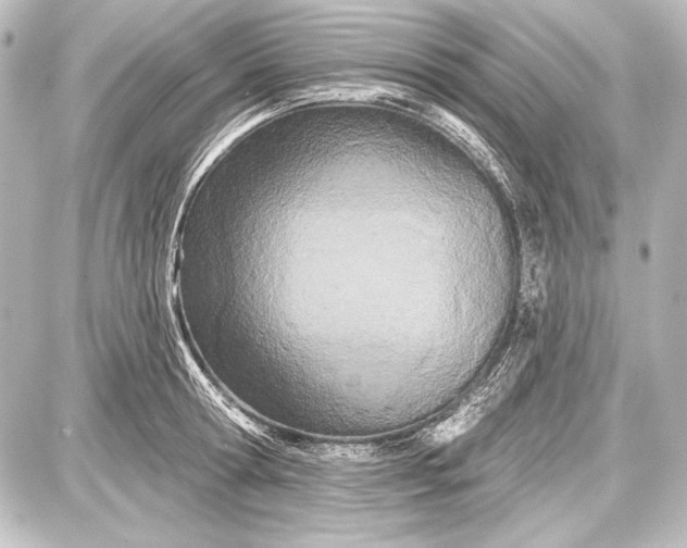 X0000087630802200705181459