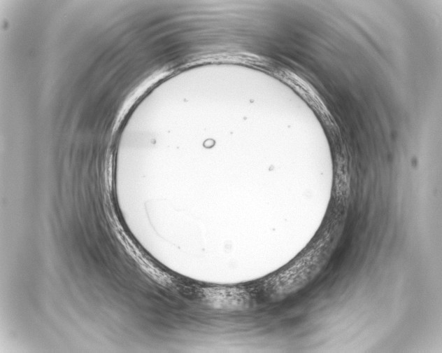 X0000087630804200705181459