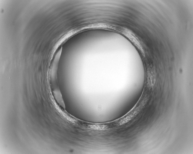 X0000087630805200705181459