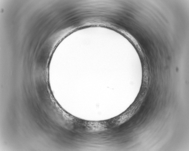 X0000087630807200705181459