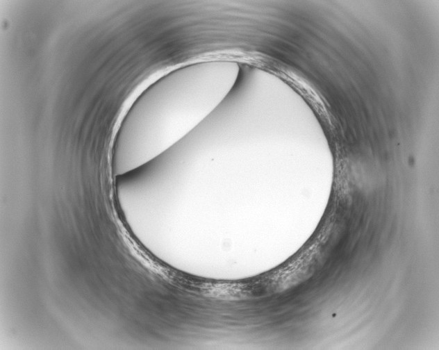 X0000087630808200705181459