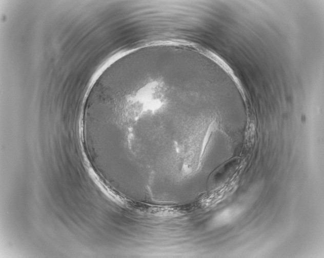 X0000087630811200705181459