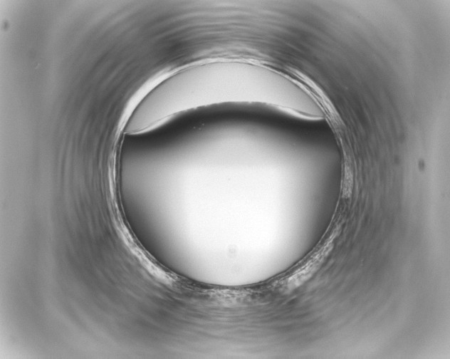 X0000087630812200705181459