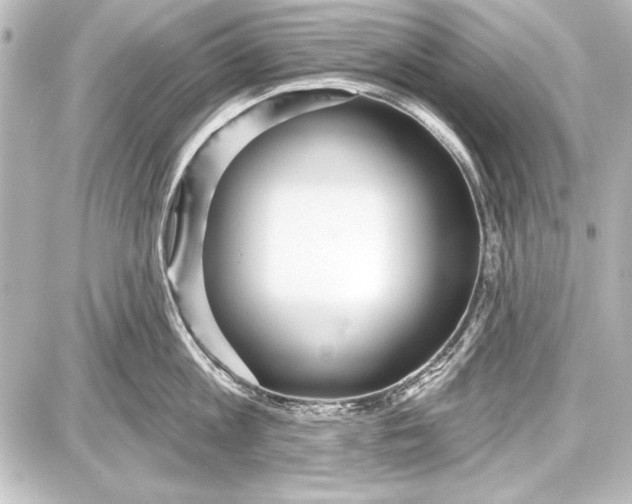 X0000087630813200705181459