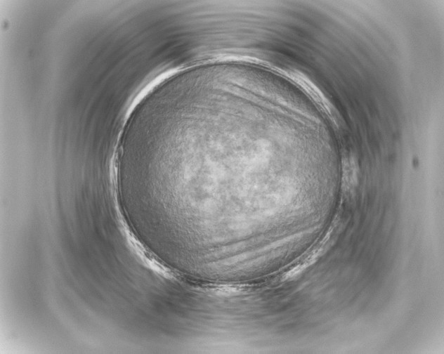 X0000087630814200705181459