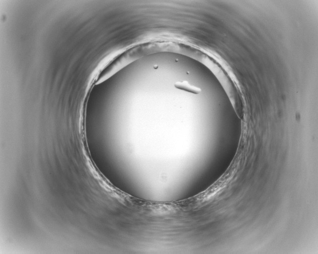 X0000087630815200705181459