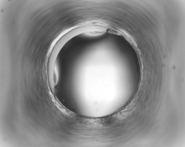 X0000087630816200705181459