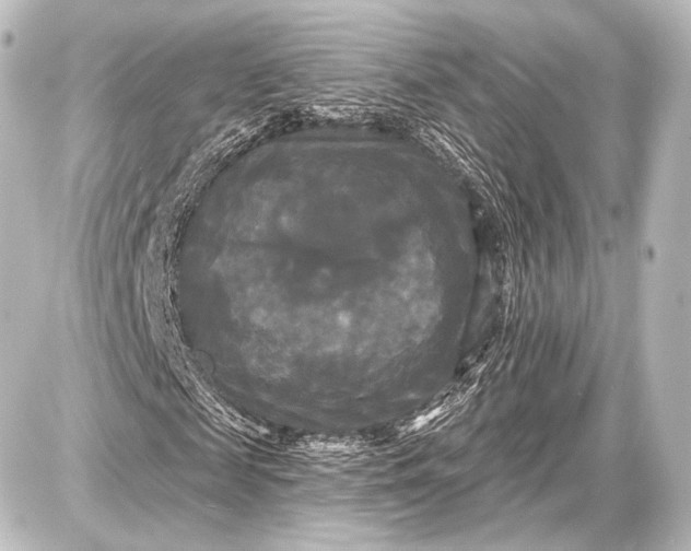 X0000087630817200705181458