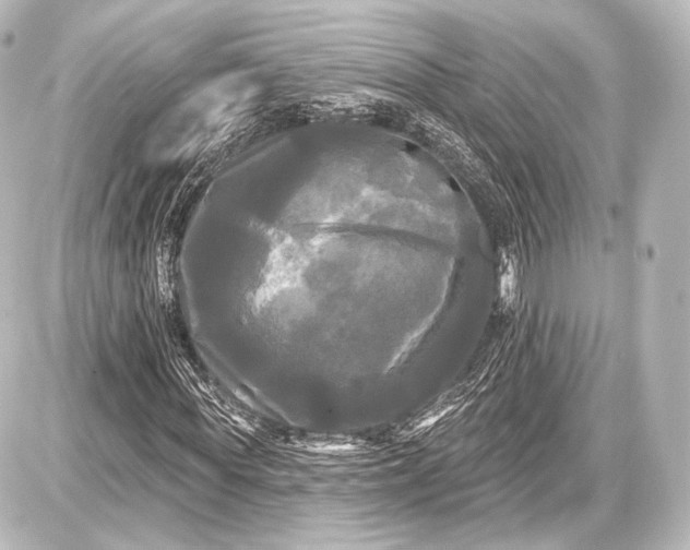 X0000087630819200705181458