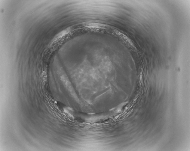 X0000087630821200705181458