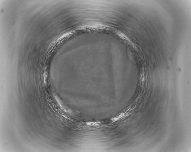 X0000087630822200705181458