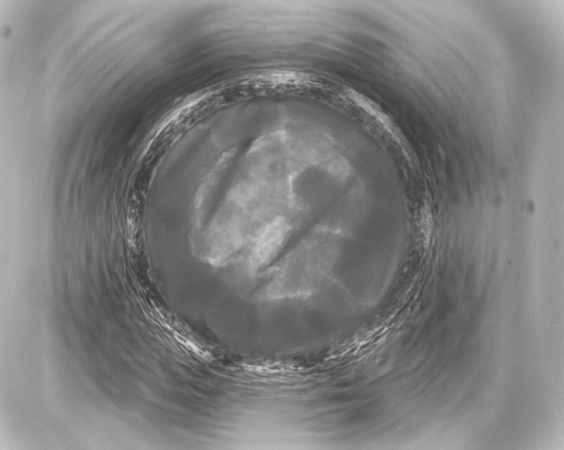 X0000087630823200705181458