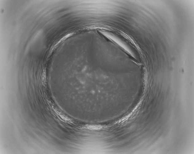 X0000087630825200705181458