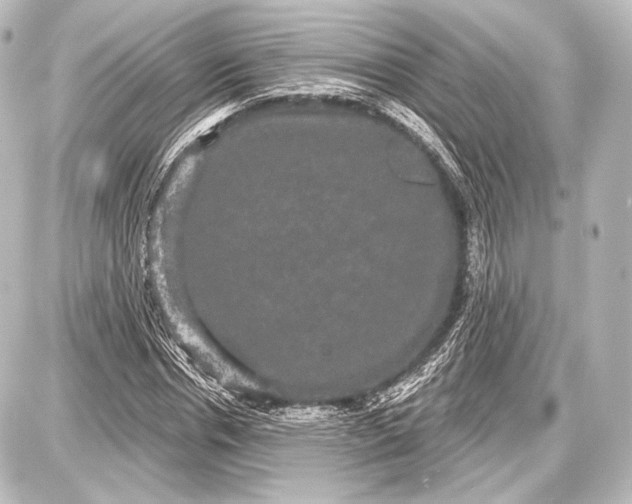 X0000087630826200705181458