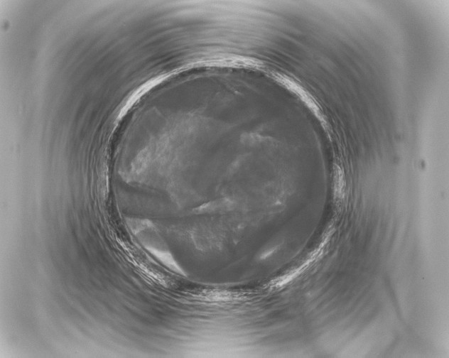 X0000087630829200705181458