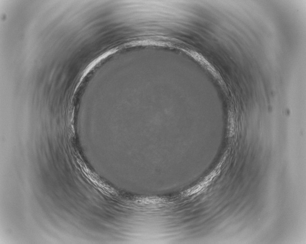 X0000087630830200705181458