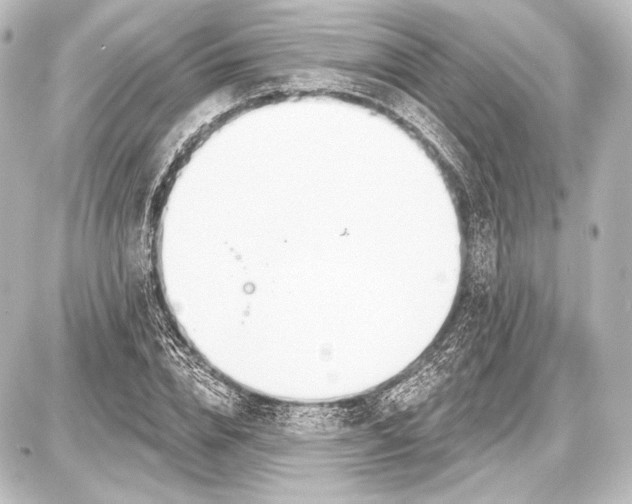 X0000087630832200705181458