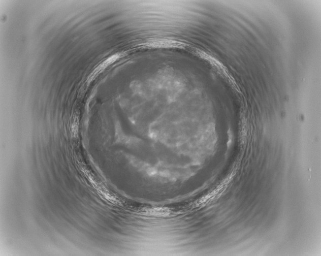 X0000087630833200705181458