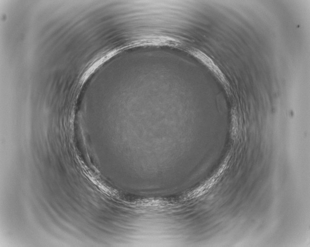 X0000087630834200705181458