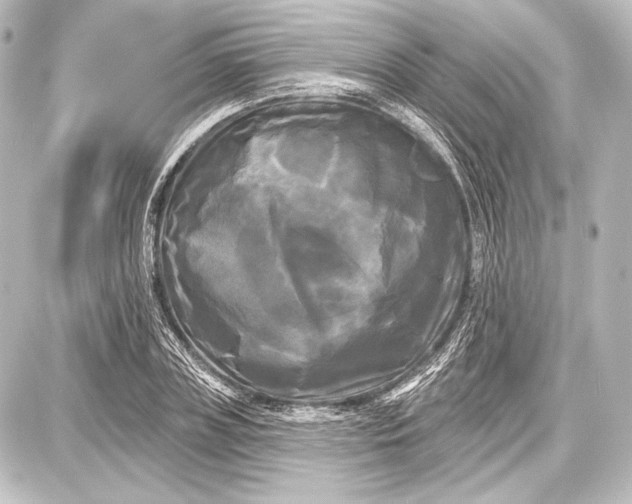 X0000087630835200705181458