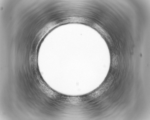 X0000087630836200705181458